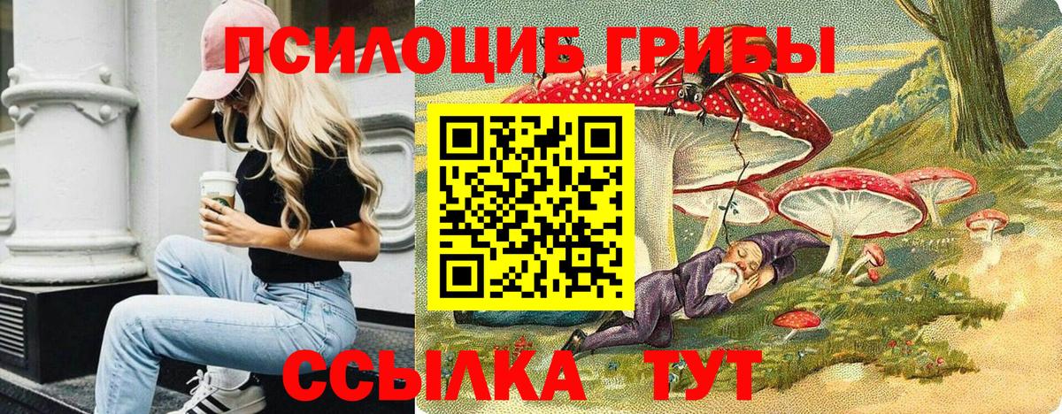 Копейск  Псилоцибиновые грибы прущие грибы  Вход с VPN 